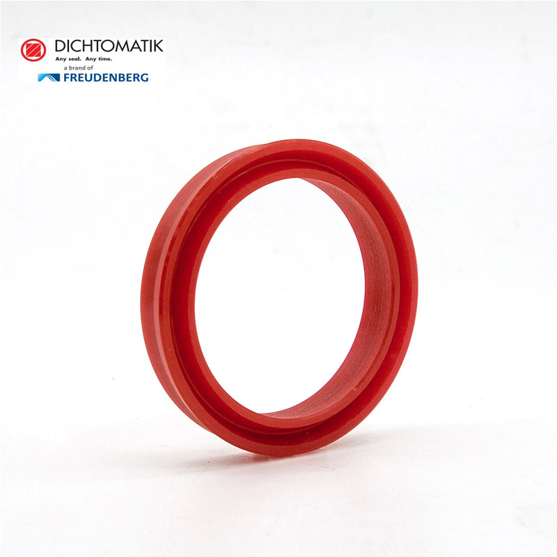 Dichtomatik密封 德氏封防尘圈(DA)